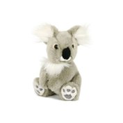Plyšová hračka - Koala 18 cm