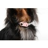 Minidog_pink_3.jpg